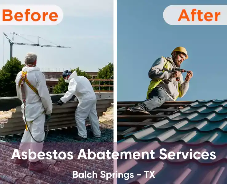  Asbestos Abatement Services Balch Springs - TX