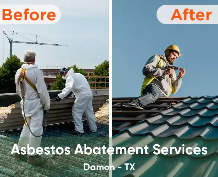  Asbestos Abatement Services Damon - TX