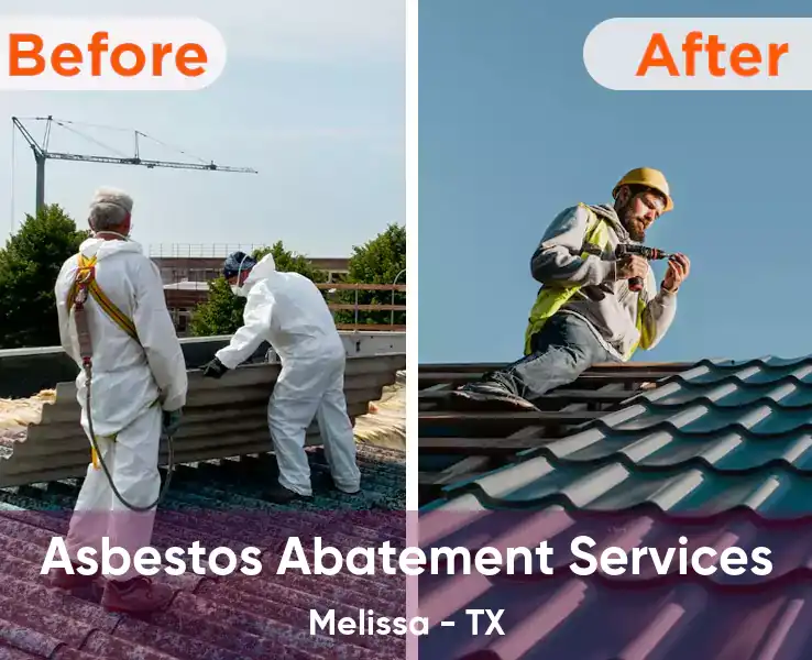  Asbestos Abatement Services Melissa - TX