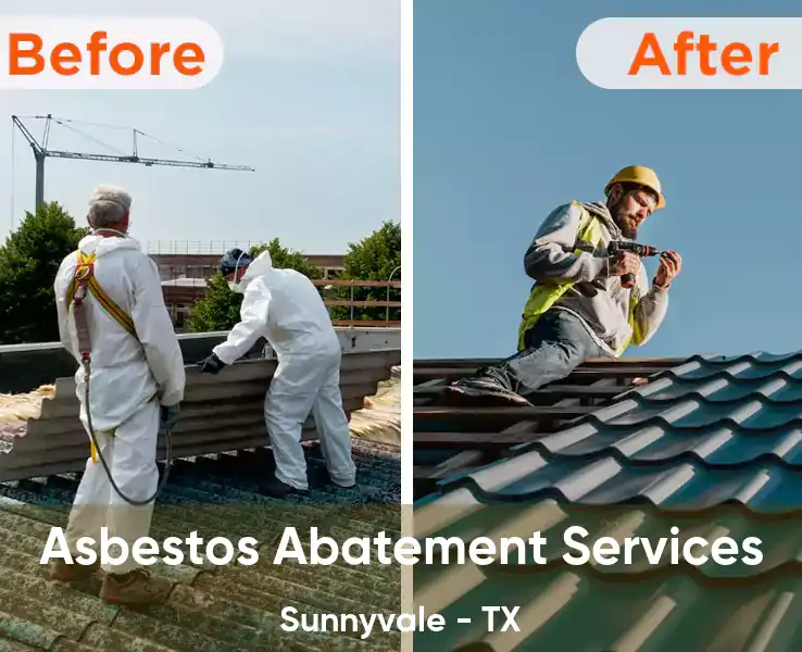  Asbestos Abatement Services Sunnyvale - TX