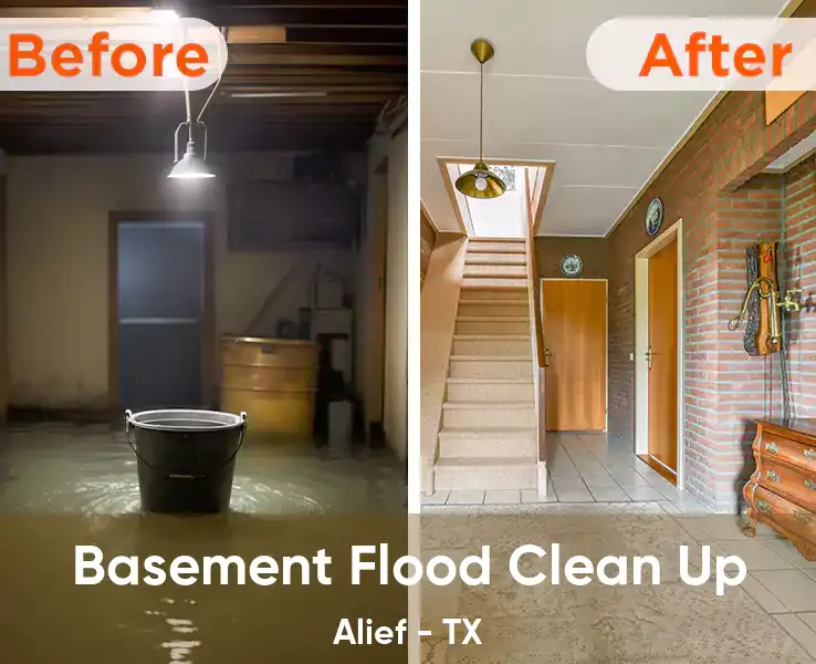  Basement Flood Clean Up Alief - TX