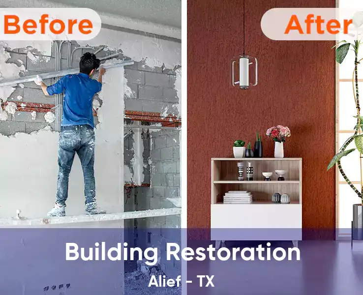  Building Restoration Alief - TX