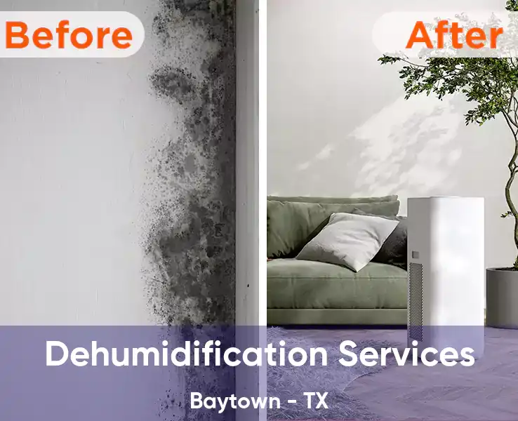  Dehumidification Services Baytown - TX
