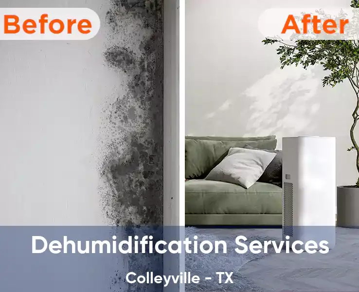  Dehumidification Services Colleyville - TX