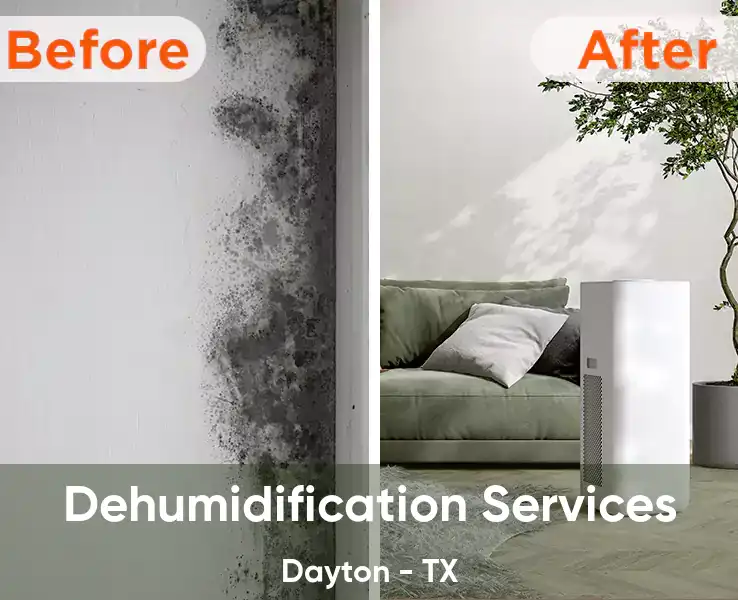  Dehumidification Services Dayton - TX