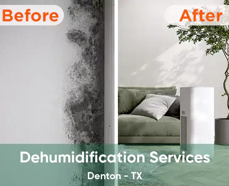  Dehumidification Services Denton - TX