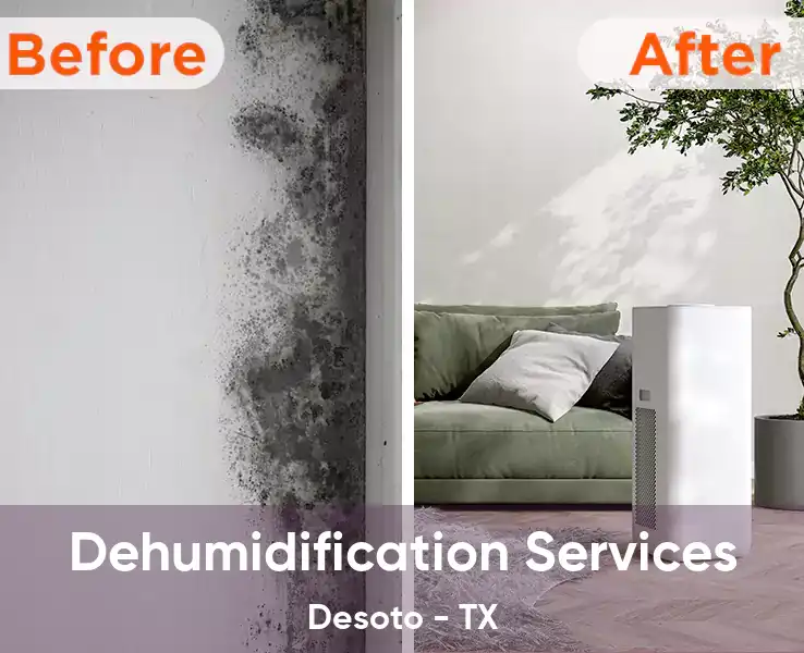 Dehumidification Services Desoto - TX