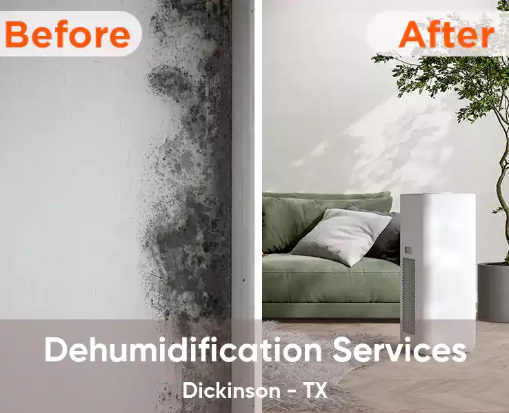  Dehumidification Services Dickinson - TX