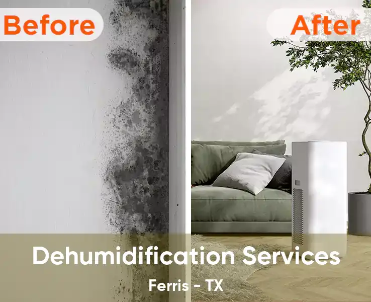  Dehumidification Services Ferris - TX