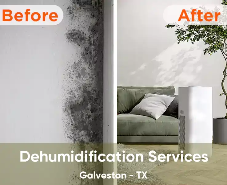  Dehumidification Services Galveston - TX