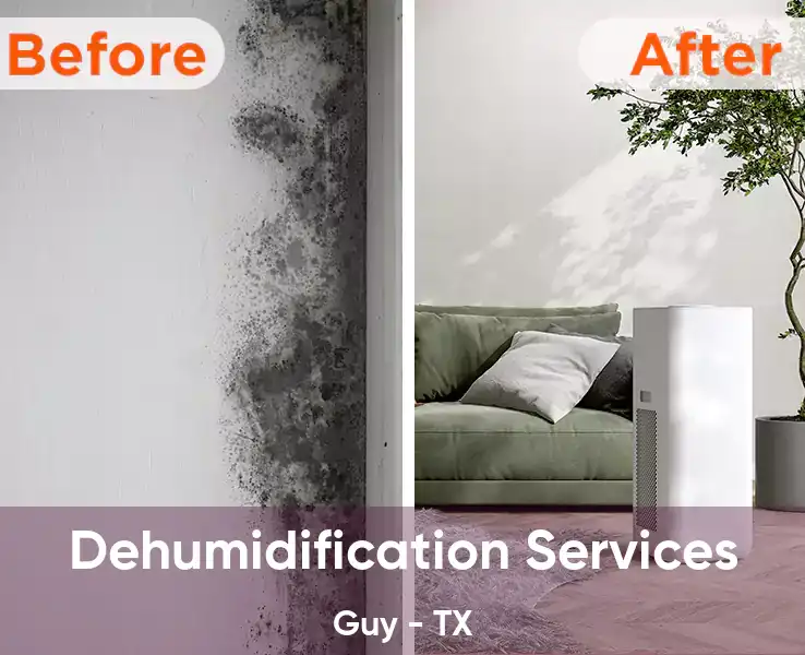  Dehumidification Services Guy - TX