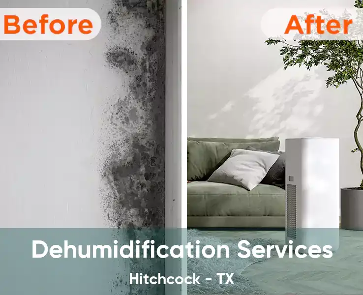  Dehumidification Services Hitchcock - TX