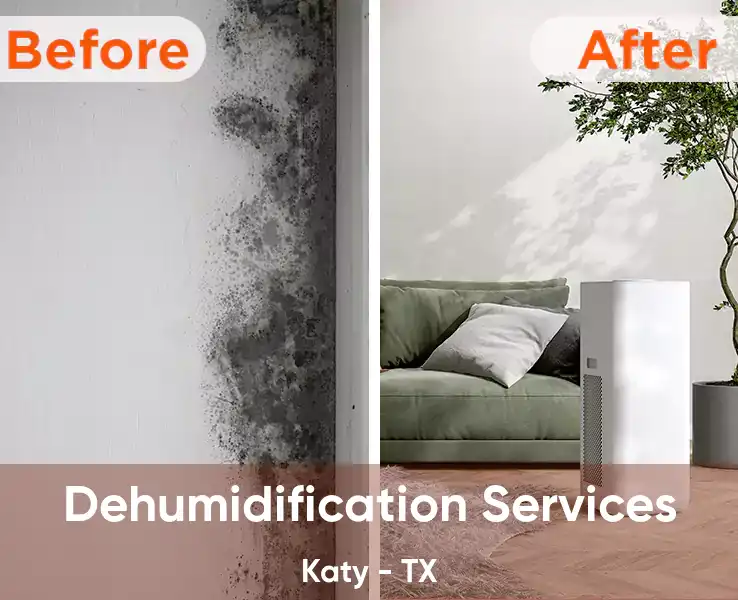  Dehumidification Services Katy - TX