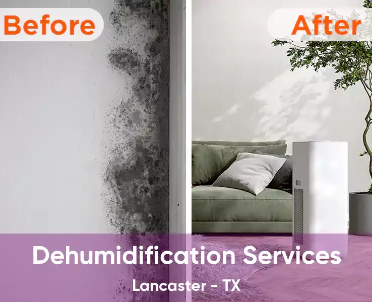  Dehumidification Services Lancaster - TX