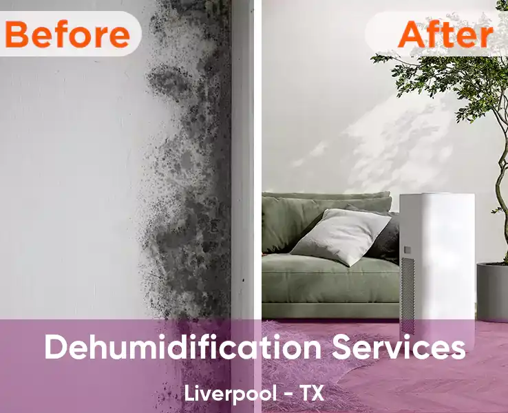  Dehumidification Services Liverpool - TX