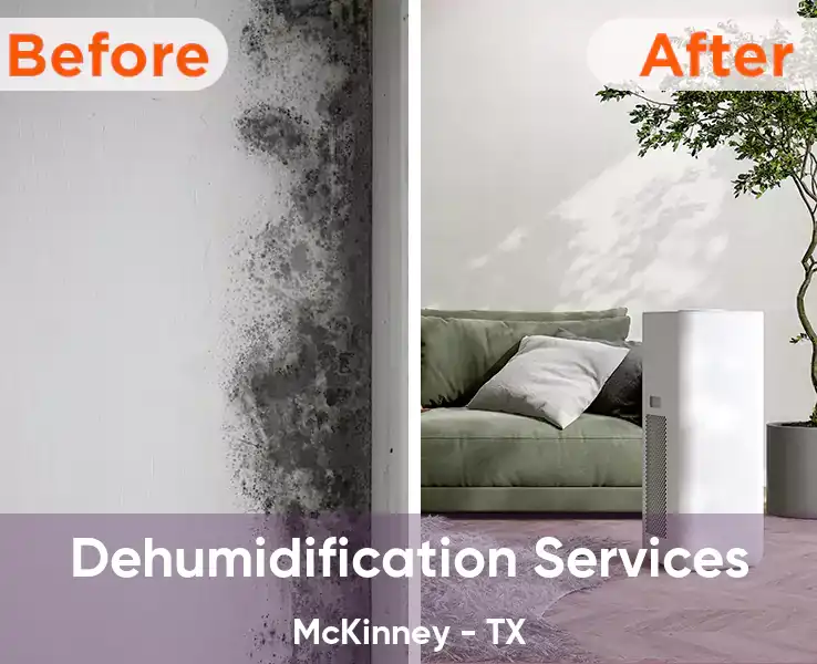  Dehumidification Services McKinney - TX