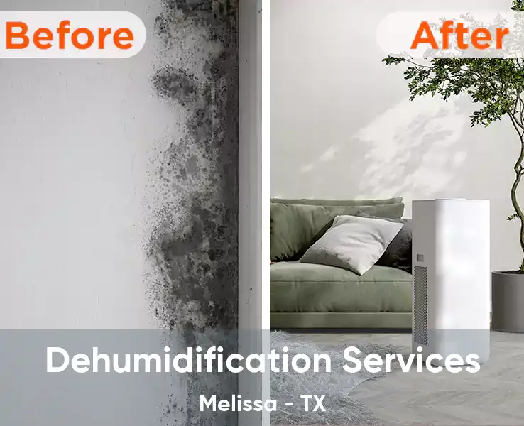  Dehumidification Services Melissa - TX