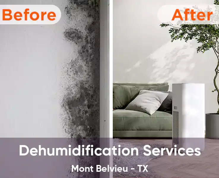  Dehumidification Services Mont Belvieu - TX