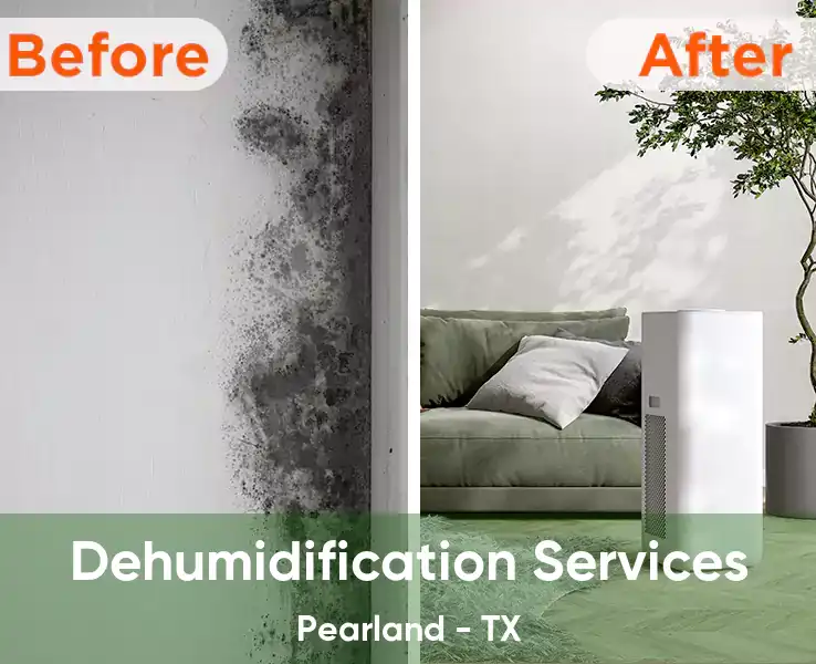  Dehumidification Services Pearland - TX