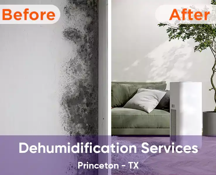  Dehumidification Services Princeton - TX