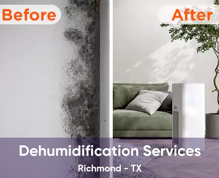  Dehumidification Services Richmond - TX