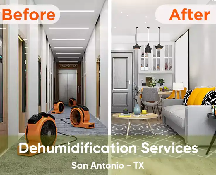  Dehumidification Services San Antonio - TX