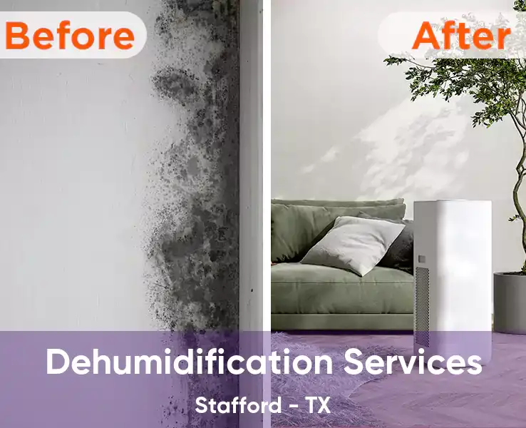 Dehumidification Services Stafford - TX