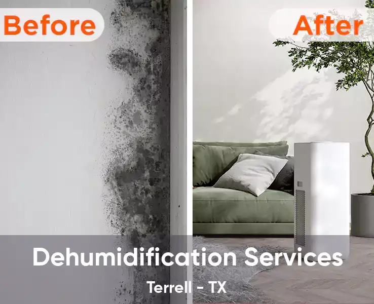  Dehumidification Services Terrell - TX
