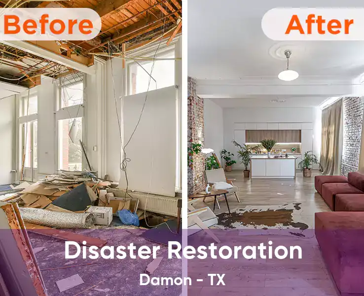  Disaster Restoration Damon - TX