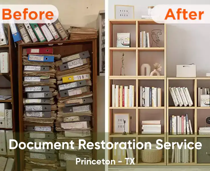  Document Restoration Service Princeton - TX