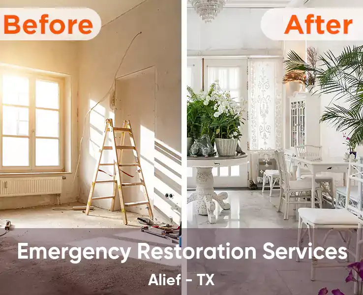  Emergency Restoration Services Alief - TX