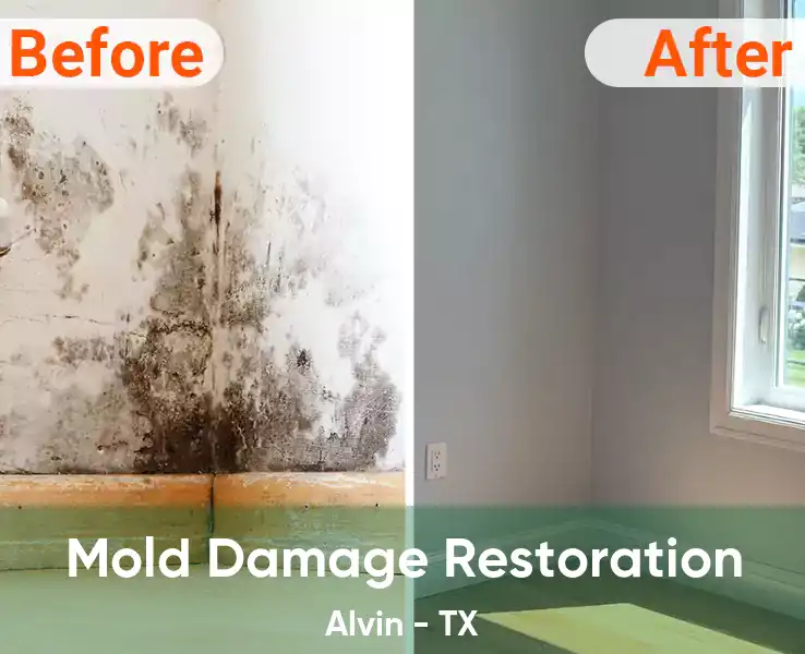  Mold Damage Restoration Alvin - TX