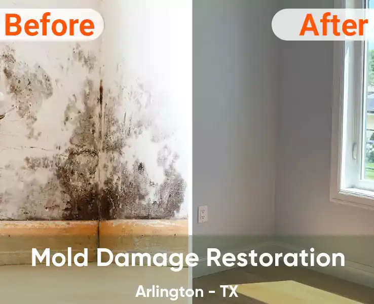  Mold Damage Restoration Arlington - TX