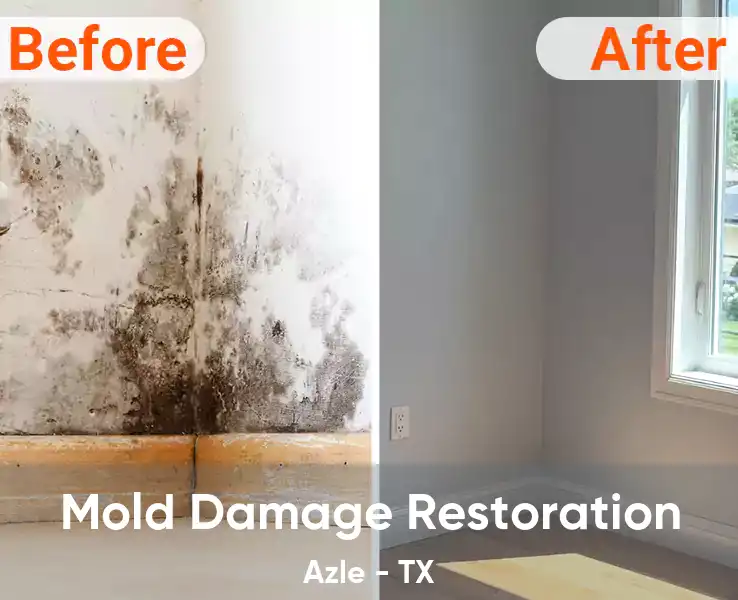  Mold Damage Restoration Azle - TX