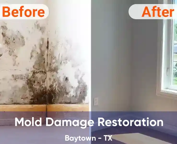  Mold Damage Restoration Baytown - TX