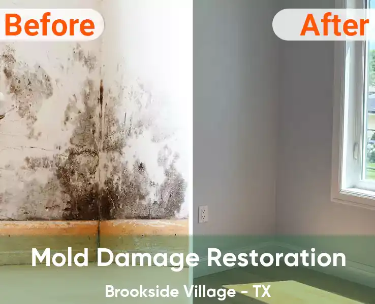  Mold Damage Restoration Brookside Village - TX