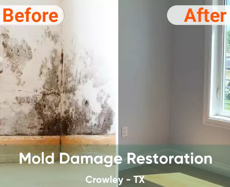  Mold Damage Restoration Crowley - TX