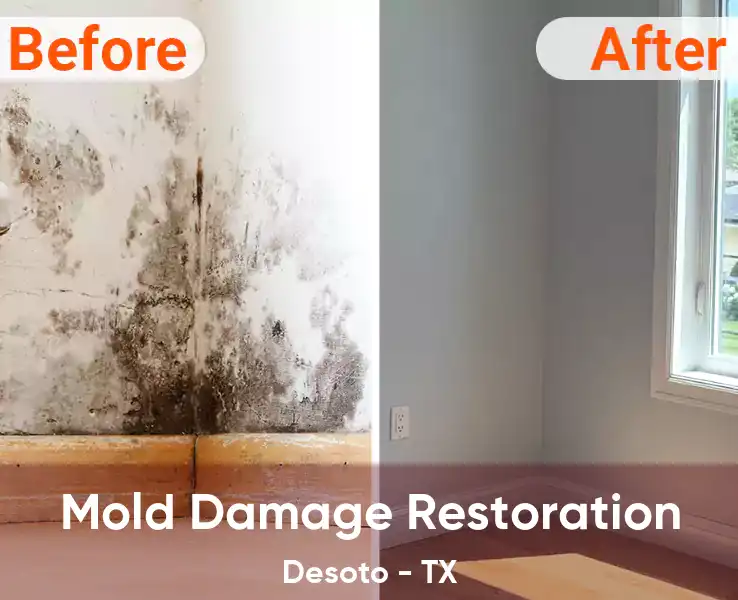  Mold Damage Restoration Desoto - TX