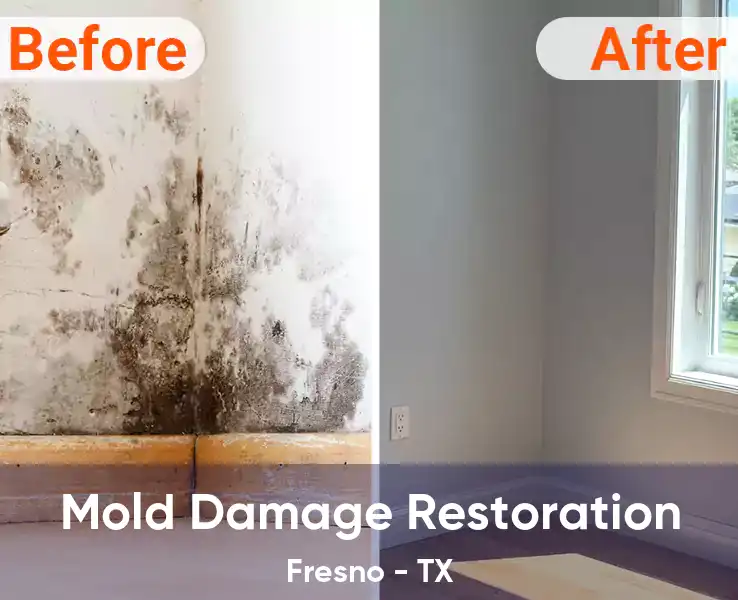  Mold Damage Restoration Fresno - TX