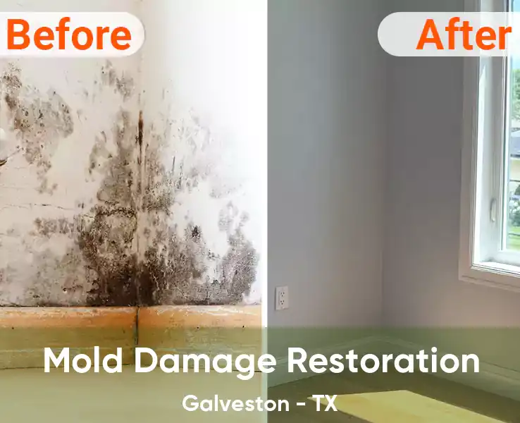  Mold Damage Restoration Galveston - TX
