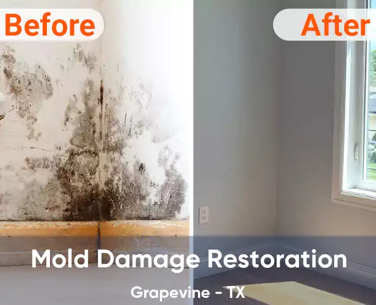  Mold Damage Restoration Grapevine - TX