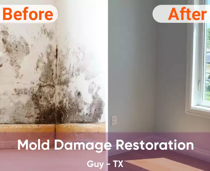 Mold Damage Restoration Guy - TX