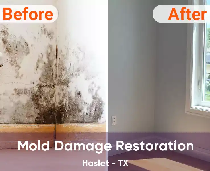  Mold Damage Restoration Haslet - TX