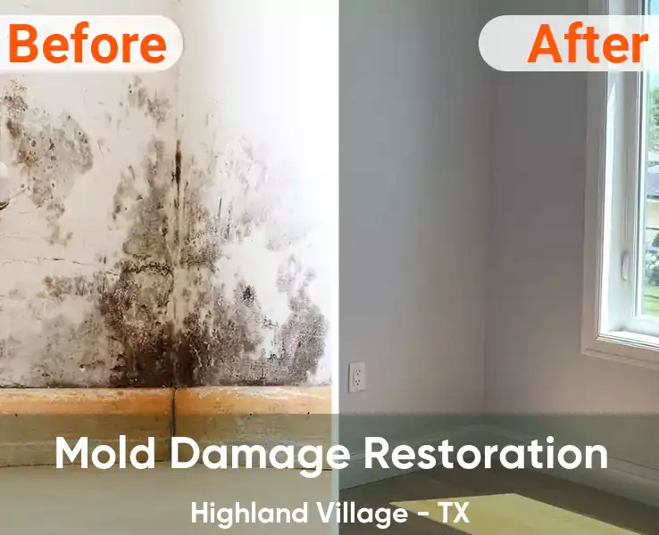  Mold Damage Restoration Highland Village - TX
