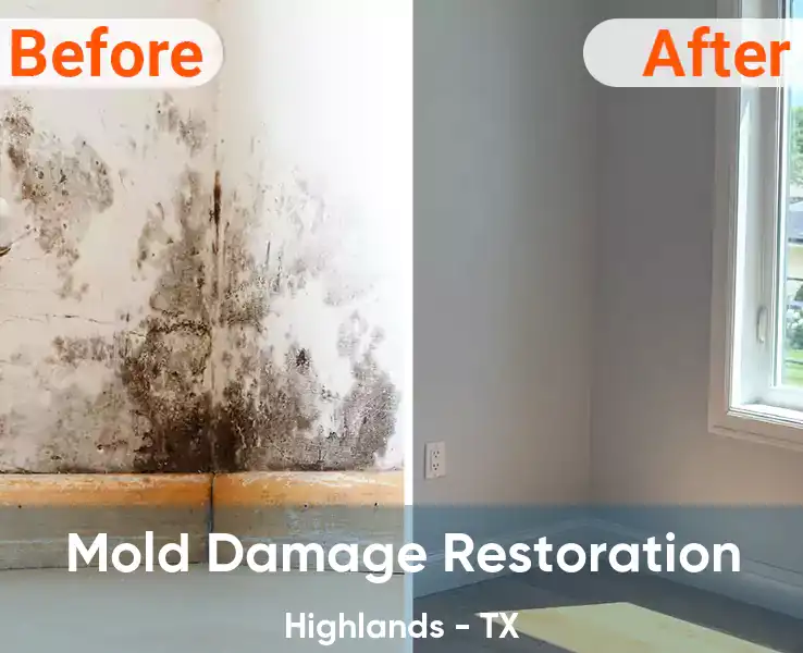  Mold Damage Restoration Highlands - TX