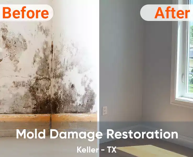  Mold Damage Restoration Keller - TX