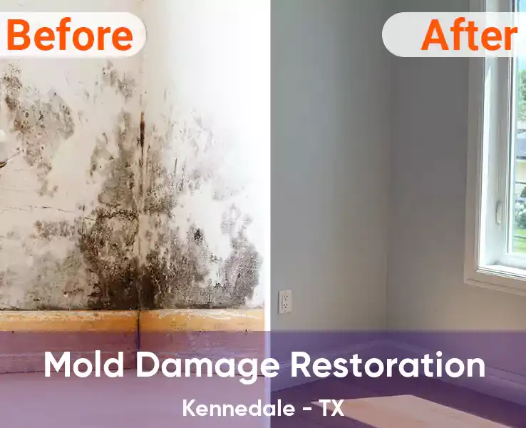  Mold Damage Restoration Kennedale - TX