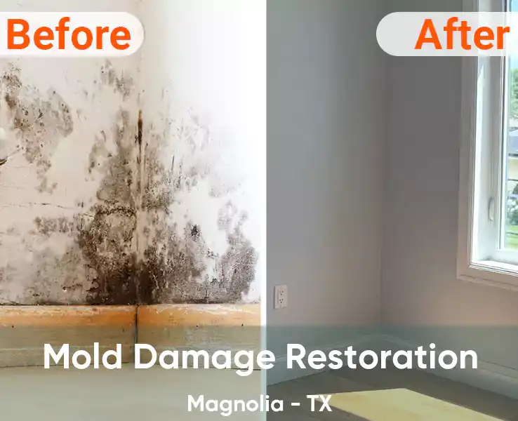  Mold Damage Restoration Magnolia - TX