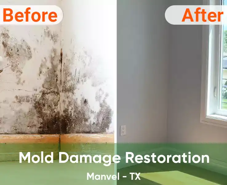  Mold Damage Restoration Manvel - TX
