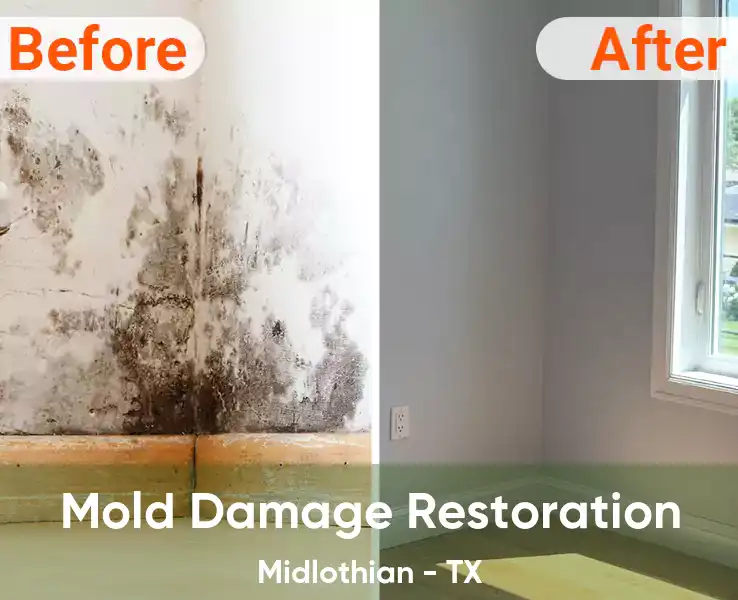  Mold Damage Restoration Midlothian - TX